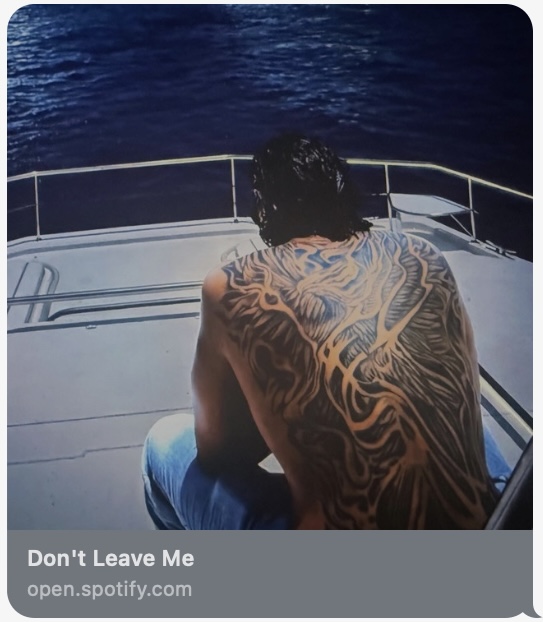 Don't Leave Me single cover by Travis&nbsp;Darshan