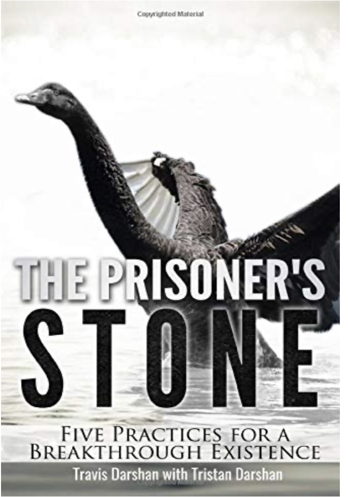 The Prisoner's Stone book cover by Travis Darshan with Tristan Darshan